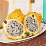 Cobra 130 hap siparişi nasıl verilir