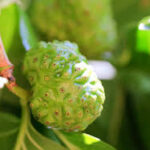 Süper kamagra 100 mg hapı faydaları