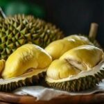 Cobra 130 hap yan etkisi var mı