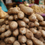 Vega 30 lu satış sitesi